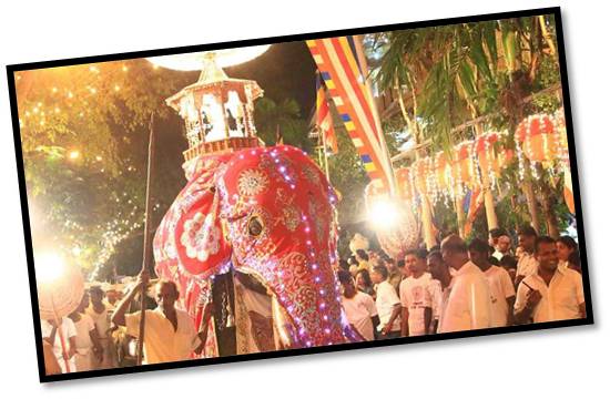 Nawam perahera.jpg